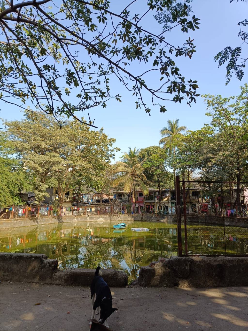Gokul Nagar Lake
