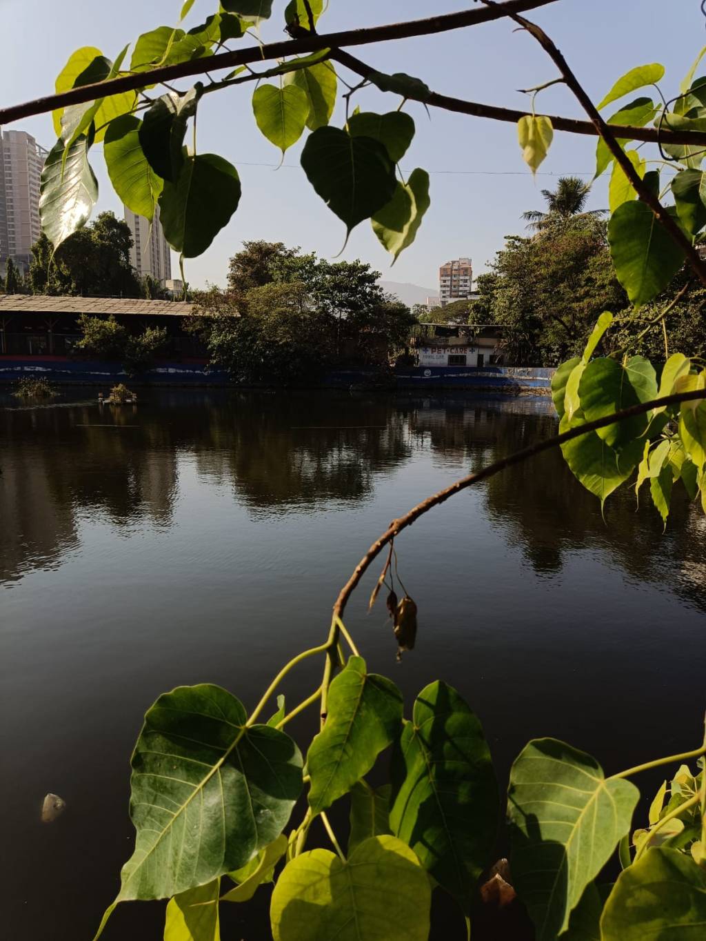 Makhamali Lake