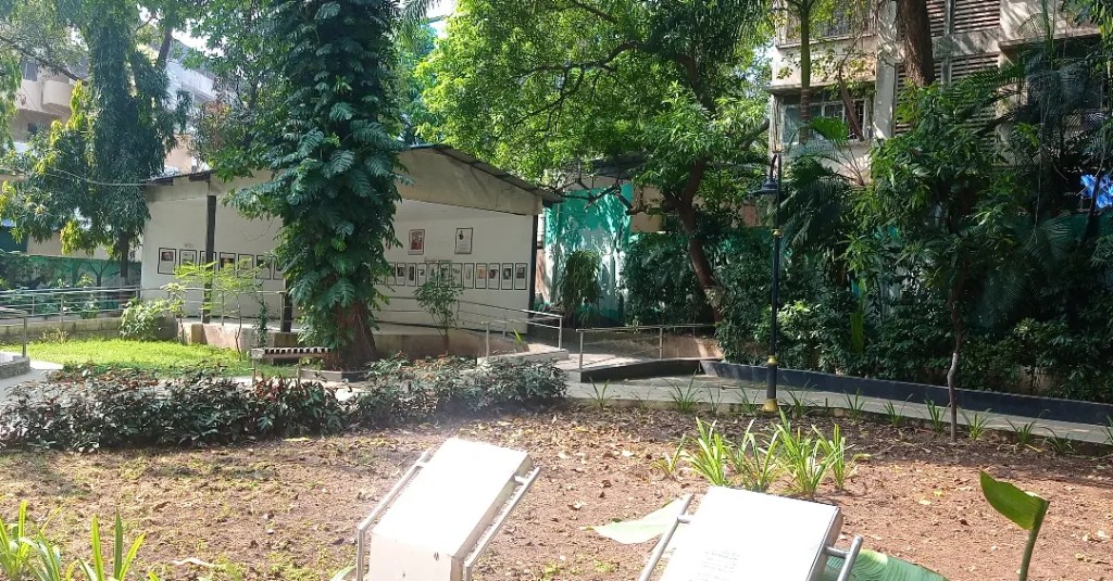 Garden, Momos & Waffles – The Perfect Girl’s Day Out&nbsp;Combo