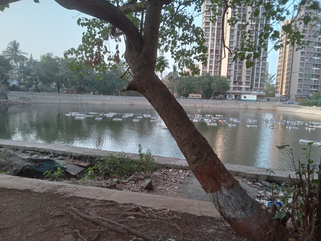 Side Quest : Exploring Lake&nbsp;#16